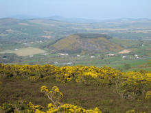 Bunclody from Mt Leinster Slopes-small.jpg (9408 bytes)