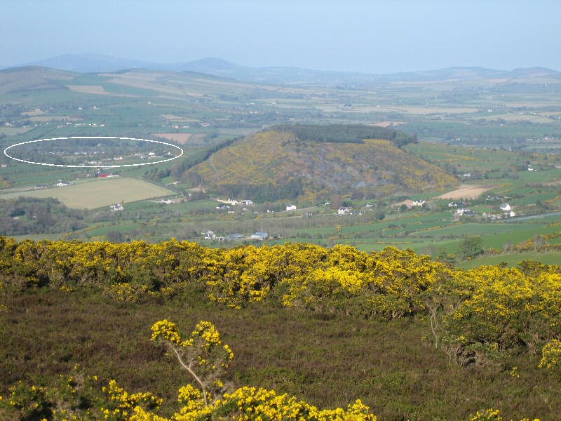 Bunclody from Mt Leinster Slopes.jpg (103960 bytes)