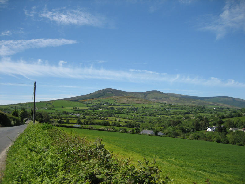 Mt Leinster.jpg (78192 bytes)